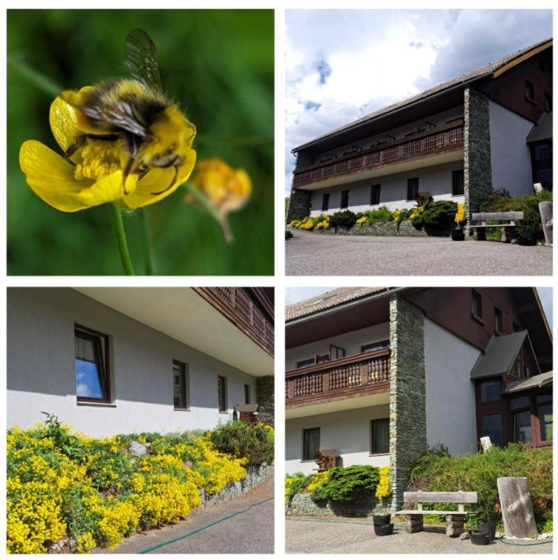Draxlerhaus Hotel Hohentauern Exterior photo